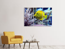 Laden Sie das Bild in den Galerie-Viewer, Leinwandbild 3-teilig Gelber Doktorfisch XL