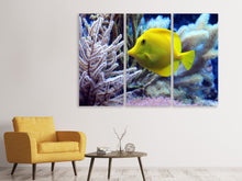 Laden Sie das Bild in den Galerie-Viewer, Leinwandbild 3-teilig Gelber Doktorfisch XL