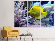 Laden Sie das Bild in den Galerie-Viewer, Leinwandbild 3-teilig Gelber Doktorfisch XL