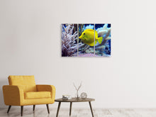 Laden Sie das Bild in den Galerie-Viewer, Leinwandbild 3-teilig Gelber Doktorfisch XL
