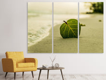 Laden Sie das Bild in den Galerie-Viewer, Leinwandbild 3-teilig Strand-Blatt