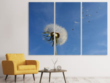 Laden Sie das Bild in den Galerie-Viewer, Leinwandbild 3-teilig Pusteblume - ich wünsch mir was