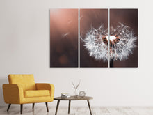 Laden Sie das Bild in den Galerie-Viewer, Leinwandbild 3-teilig Pusteblume im Abendlicht