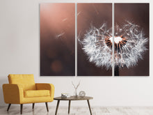 Laden Sie das Bild in den Galerie-Viewer, Leinwandbild 3-teilig Pusteblume im Abendlicht