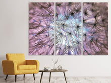 Laden Sie das Bild in den Galerie-Viewer, Leinwandbild 3-teilig Pusteblume im Lichterspiel