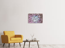 Laden Sie das Bild in den Galerie-Viewer, Leinwandbild 3-teilig Pusteblume im Lichterspiel
