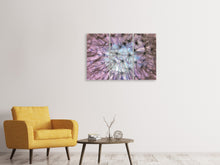 Laden Sie das Bild in den Galerie-Viewer, Leinwandbild 3-teilig Pusteblume im Lichterspiel