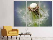 Laden Sie das Bild in den Galerie-Viewer, Leinwandbild 3-teilig Löwenzahn Close up