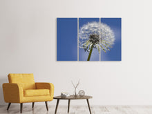 Laden Sie das Bild in den Galerie-Viewer, Leinwandbild 3-teilig Die Pusteblume in XXL