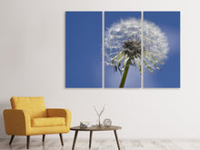 Laden Sie das Bild in den Galerie-Viewer, Leinwandbild 3-teilig Die Pusteblume in XXL