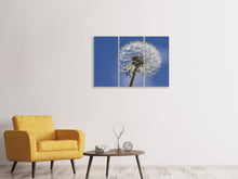 Laden Sie das Bild in den Galerie-Viewer, Leinwandbild 3-teilig Die Pusteblume in XXL