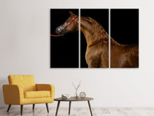Laden Sie das Bild in den Galerie-Viewer, Leinwandbild 3-teilig Stolzes Pferd