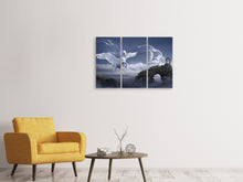 Laden Sie das Bild in den Galerie-Viewer, Leinwandbild 3-teilig Pegasus
