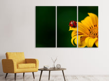 Laden Sie das Bild in den Galerie-Viewer, Leinwandbild 3-teilig Marienkäfer auf der Sonnenblume
