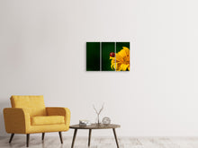 Laden Sie das Bild in den Galerie-Viewer, Leinwandbild 3-teilig Marienkäfer auf der Sonnenblume