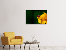 Laden Sie das Bild in den Galerie-Viewer, Leinwandbild 3-teilig Marienkäfer auf der Sonnenblume