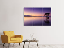 Laden Sie das Bild in den Galerie-Viewer, Leinwandbild 3-teilig Sonnenuntergang am Baum im Wasser