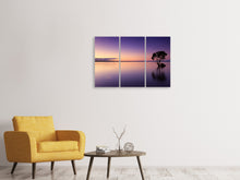 Laden Sie das Bild in den Galerie-Viewer, Leinwandbild 3-teilig Sonnenuntergang am Baum im Wasser