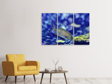 Laden Sie das Bild in den Galerie-Viewer, Leinwandbild 3-teilig Ein Fisch im Aquarium