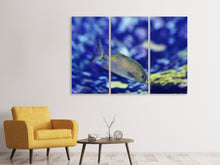 Laden Sie das Bild in den Galerie-Viewer, Leinwandbild 3-teilig Ein Fisch im Aquarium