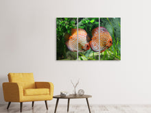 Laden Sie das Bild in den Galerie-Viewer, Leinwandbild 3-teilig 2 Fische