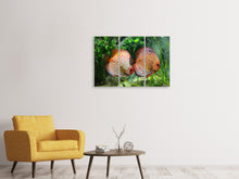 Laden Sie das Bild in den Galerie-Viewer, Leinwandbild 3-teilig 2 Fische