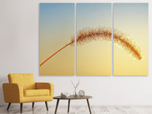 Laden Sie das Bild in den Galerie-Viewer, Leinwandbild 3-teilig Ziergrass in XXL