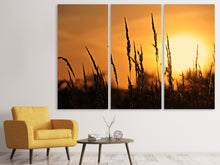 Laden Sie das Bild in den Galerie-Viewer, Leinwandbild 3-teilig Sonnenaufgang auf dem Feld