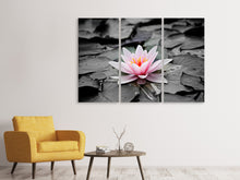 Laden Sie das Bild in den Galerie-Viewer, Leinwandbild 3-teilig Die Kunst der Seerose