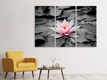 Laden Sie das Bild in den Galerie-Viewer, Leinwandbild 3-teilig Die Kunst der Seerose