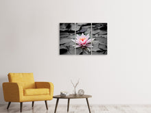 Laden Sie das Bild in den Galerie-Viewer, Leinwandbild 3-teilig Die Kunst der Seerose
