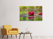 Laden Sie das Bild in den Galerie-Viewer, Leinwandbild 3-teilig Rotes Seerosen Duo