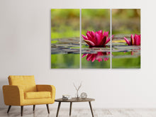 Laden Sie das Bild in den Galerie-Viewer, Leinwandbild 3-teilig Rotes Seerosen Duo