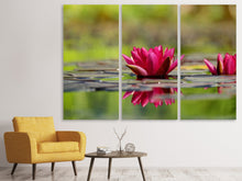 Laden Sie das Bild in den Galerie-Viewer, Leinwandbild 3-teilig Rotes Seerosen Duo