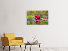 Laden Sie das Bild in den Galerie-Viewer, Leinwandbild 3-teilig Rotes Seerosen Duo
