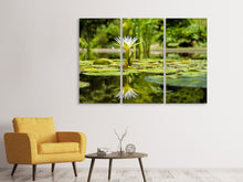 Laden Sie das Bild in den Galerie-Viewer, Leinwandbild 3-teilig Seerose in der Natur
