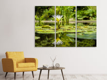 Laden Sie das Bild in den Galerie-Viewer, Leinwandbild 3-teilig Seerose in der Natur