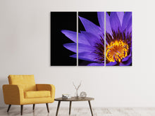 Laden Sie das Bild in den Galerie-Viewer, Leinwandbild 3-teilig XL Seerose in lila