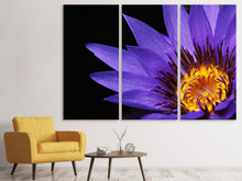 Laden Sie das Bild in den Galerie-Viewer, Leinwandbild 3-teilig XL Seerose in lila