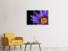 Laden Sie das Bild in den Galerie-Viewer, Leinwandbild 3-teilig XL Seerose in lila