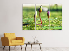 Laden Sie das Bild in den Galerie-Viewer, Leinwandbild 3-teilig Seerosen in XL