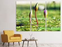 Laden Sie das Bild in den Galerie-Viewer, Leinwandbild 3-teilig Seerosen in XL