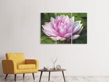 Laden Sie das Bild in den Galerie-Viewer, Leinwandbild 3-teilig Seerose in rosa