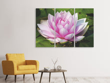 Laden Sie das Bild in den Galerie-Viewer, Leinwandbild 3-teilig Seerose in rosa