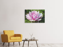 Laden Sie das Bild in den Galerie-Viewer, Leinwandbild 3-teilig Seerose in rosa