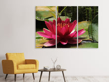 Laden Sie das Bild in den Galerie-Viewer, Leinwandbild 3-teilig Seerose in rot