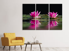 Laden Sie das Bild in den Galerie-Viewer, Leinwandbild 3-teilig Seerosen Duo in pink