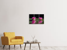 Laden Sie das Bild in den Galerie-Viewer, Leinwandbild 3-teilig Seerosen Duo in pink