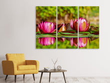 Laden Sie das Bild in den Galerie-Viewer, Leinwandbild 3-teilig Rotes Seerosen Trio