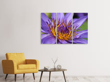 Laden Sie das Bild in den Galerie-Viewer, Leinwandbild 3-teilig XXL Seerose in lila